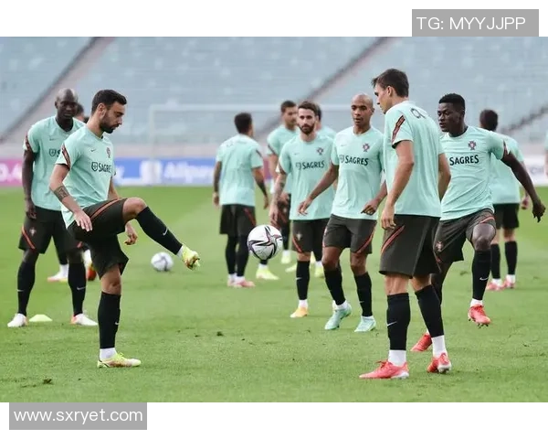 葡萄牙与瑞士世界杯外围赛激战在即球迷期待精彩对决